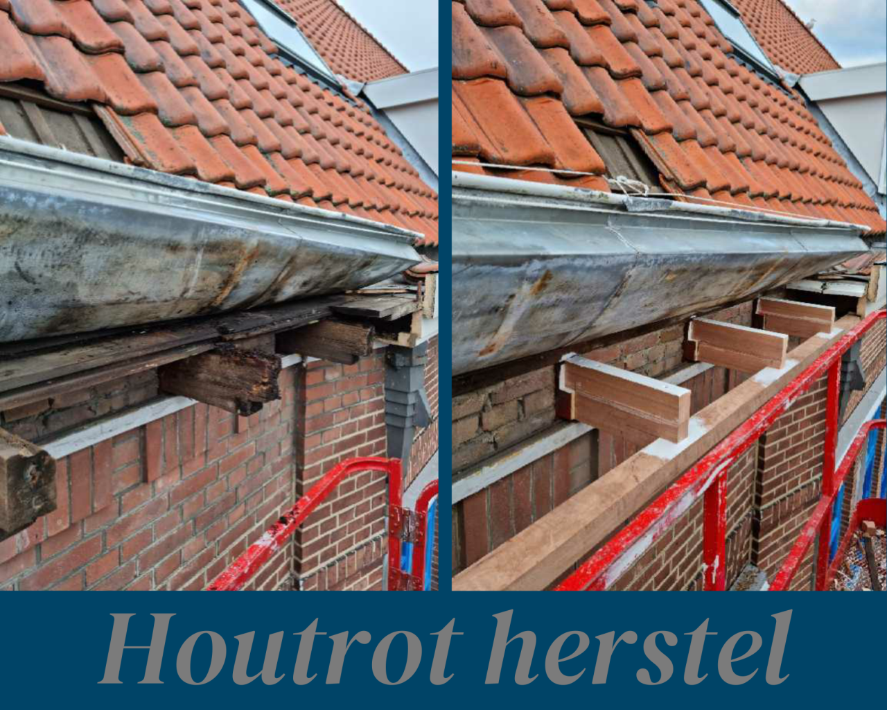 Houtrot herstel